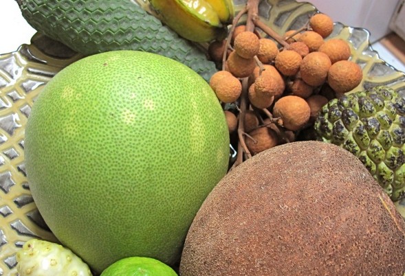 Festival de fruits en charter caribéen
