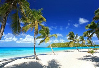 Top 5 Caribbean Charter Destinations